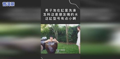 我要把你泡在缸里，缸里的爱恋