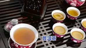 宁府茶庄普洱茶价格表图片-宁府茶庄普洱茶价格表图片大全