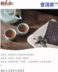 普洱茶字号排名前十名，揭秘：普洱茶字号排名前十名，你喝的是哪一款？