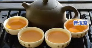 古树普洱茶品种，探索古树普洱茶的魅力：了解其品种和特点