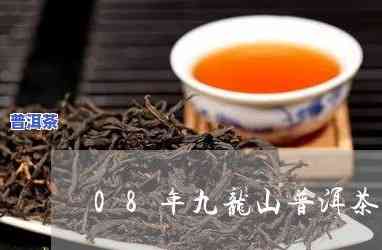 古董普洱茶图谱大全-古董普洱茶图谱大