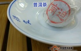 冰岛普洱茶：含义与口感特点全解析