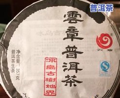 冰岛普洱茶：含义与口感特点全解析