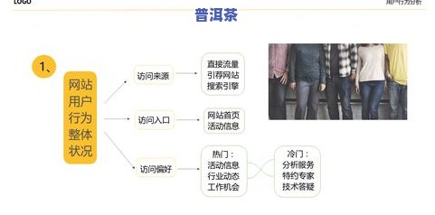 如何撰写普洱茶品茶人群分析报告？详细步骤与技巧分享