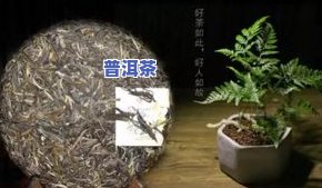 冰岛普洱茶的口感，探索冰岛普洱茶的特别口感：一次味觉盛宴