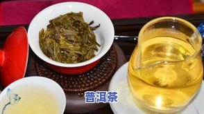 冰岛普洱茶的口感，探索冰岛普洱茶的独特口感：一次味觉盛宴