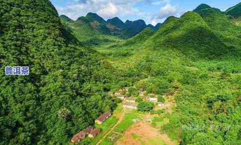 普洱茶冰岛产地，探秘冰岛：揭秘普洱茶的神秘产地