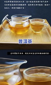 冰岛茶生茶200克多少钱，熟悉冰岛茶：生茶200克的价格是多少？