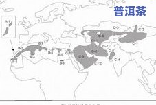 冰岛易武各自特点，探索冰岛与易武的各自特点：一场地理和文化的碰撞