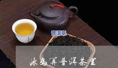 易武和冰岛普洱茶的特点-冰岛普洱茶与易武普洱茶区别