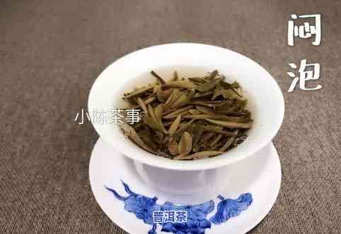 普洱茶闷茶-普洱茶闷茶是什么意思