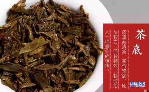 凤牌冰岛：探寻顶级普洱茶的源头——冰岛大树