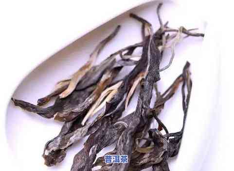 普洱茶几个饼够一斤-普洱茶几个饼够一斤喝