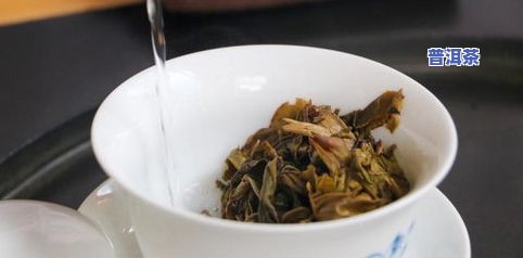 冰岛老寨普洱茶价格，探究冰岛老寨普洱茶的价格趋势与价值分析