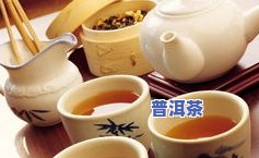 九五普洱茶-九五普洱茶 云南半坡茶业