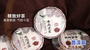 2019冰岛老寨普洱茶-2019冰岛老寨普洱茶价格多少