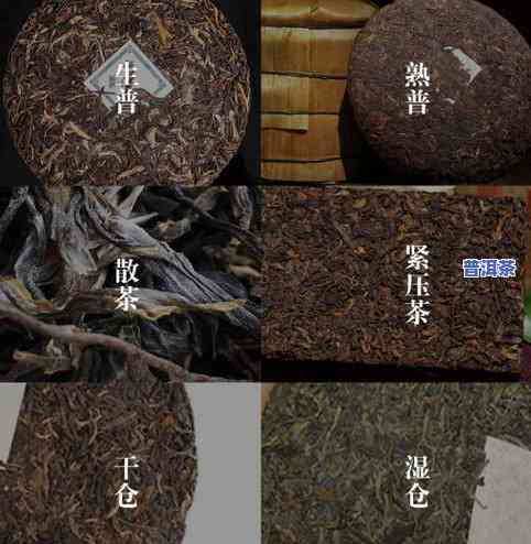 普洱茶十个热门疑问-普洱茶的100个热点疑问解答