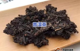 茶基普洱茶-普洱茶基础知识大全