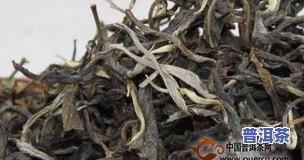 茶基普洱茶-普洱茶基础知识大全