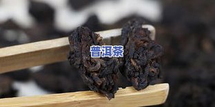 二十年陈年普洱茶价格，探寻陈年韵味：二十年普洱茶的价格解析与品鉴指南