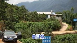 冰岛茶区有台地茶吗-冰岛茶区有台地茶吗为什么