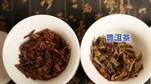 二十年陈香普洱茶饼-二十年陈年普洱茶价格