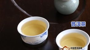 初茶普洱茶-初春普洱茶