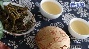 吃普乐安能喝普洱茶吗，普乐安与普洱茶：能否同时食用？