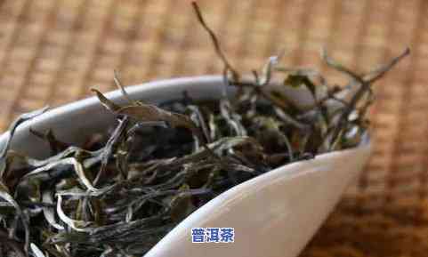 普洱茶独株什么意思，探秘普洱茶：独株的含义与价值