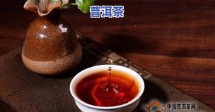 老班章易武冰岛，探寻普洱茶的四大名山：老班章、易武、冰岛的魅力与故事