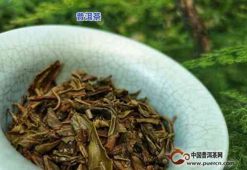 德阳大益普洱茶专卖店在哪里，德阳市内哪里有大益普洱茶专卖店？