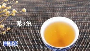 普洱茶有机茶定义，深入熟悉普洱茶：有机茶的定义与特点