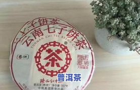 云南普洱沱茶价格表与图片全览