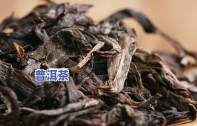 冰岛普洱茶叶子：冲泡方法与特点解析