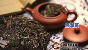 普洱茶不需要闷泡吗现在怎么保存，如何正确保存普洱茶？是否需要进行闷泡处理？