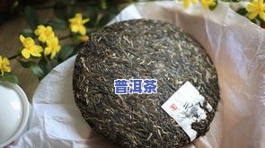 深入熟悉：普洱茶与沱茶的区别