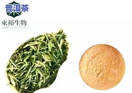 有机普洱茶叶：种类与介绍