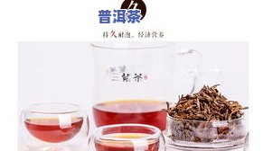 有机普洱茶叶：种类与介绍