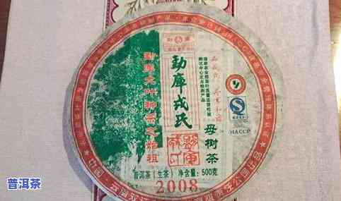 13年冰岛茶价格，2013年冰岛茶叶价：探究当年市场行情