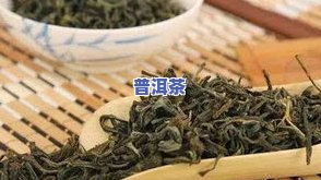 普洱茶南糯茶山，探秘云南普洱茶之源——南糯茶山