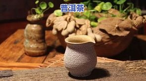 南方普洱茶，探索南方普洱茶的魅力：一种独特的茶叶体验