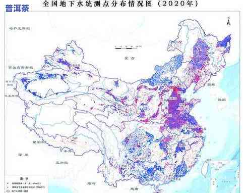 大雪山普洱茶价格详解：最新市场行情与购买建议