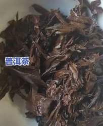 普洱茶可以放橱柜里吗冬天喝，冬季适合饮用的普洱茶，能否放在橱柜中保存？