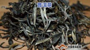 中茶普洱9062砖-中茶普洱9061