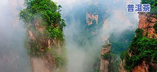 普洱茶转化的微生物有哪些-普洱茶转化的微生物有哪些种类