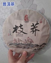 茶叶很大的是什么茶啊，揭秘大茶叶的秘密：哪种茶的叶子更大？