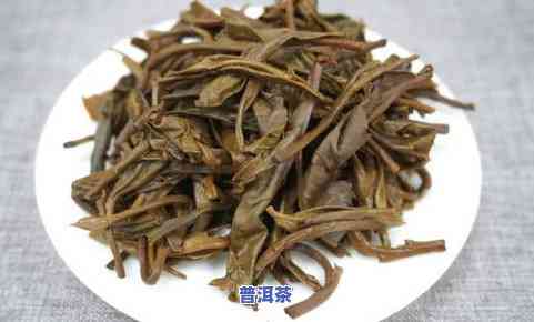 大友普洱茶最新价格一览表 - 查询必备