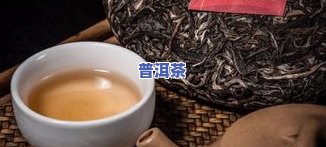 普洱茶产地介绍视频教学