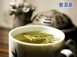 探究古树普洱茶花的功效、作用及禁忌