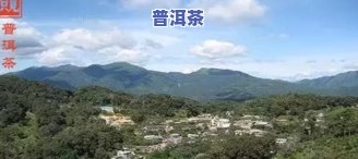 冰岛那寨普洱茶-冰岛寨普洱茶价格表